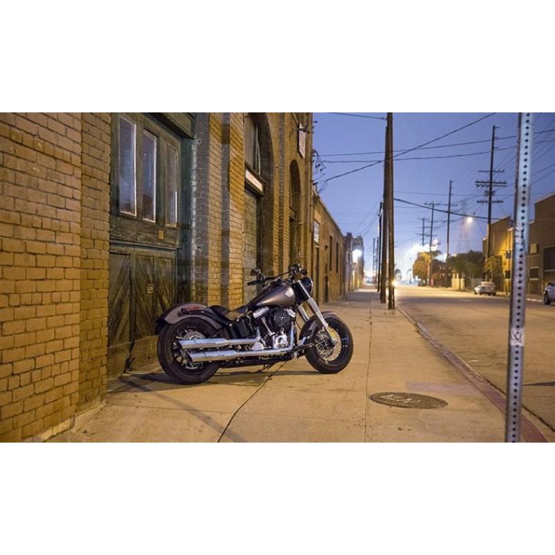 Harley-Davidson Softail Slim FLS -16